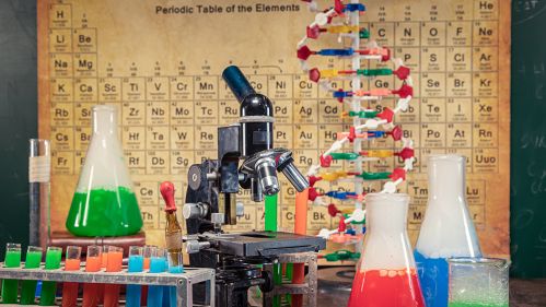 Testing a Course Submission